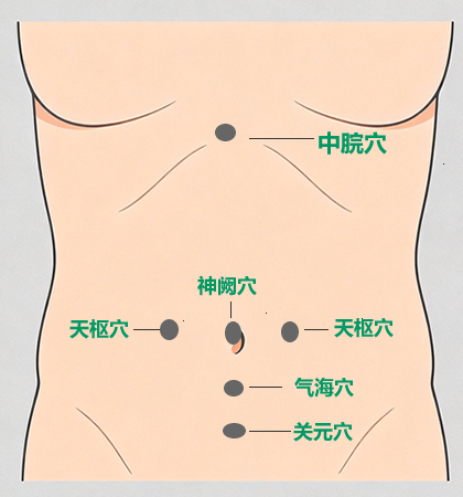 腹部穴位图