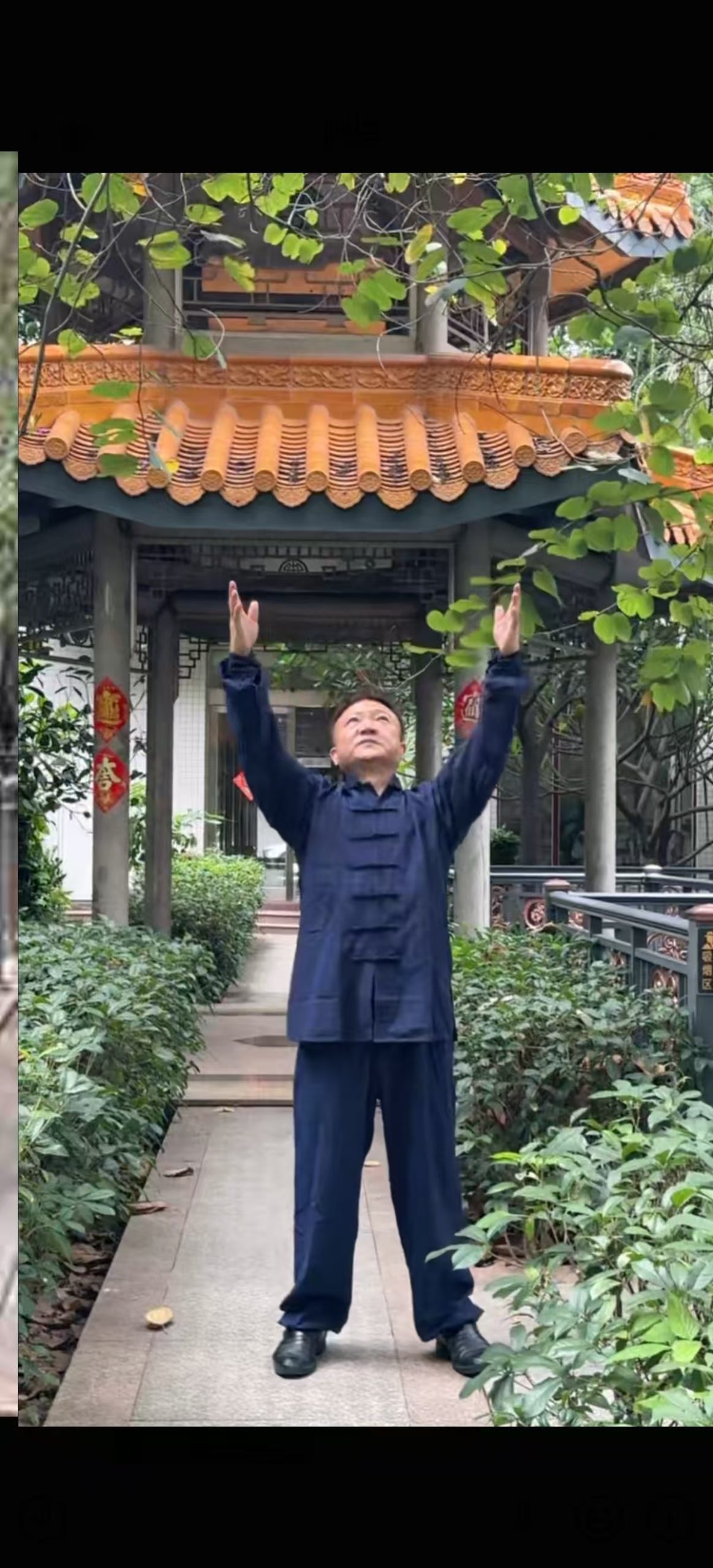 大雁气功